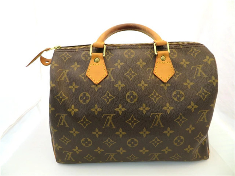 LOUIS VUITTON Speedy Handbag Monogram